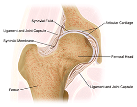 Hip Arthroscopy Surgery