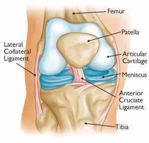 Total Knee Replacement